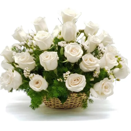 Canasta de 48 rosas blancas importadas